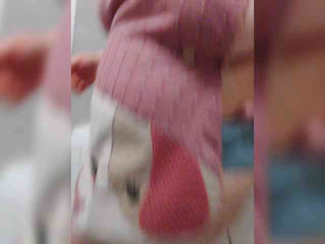 MonaMonako webcam