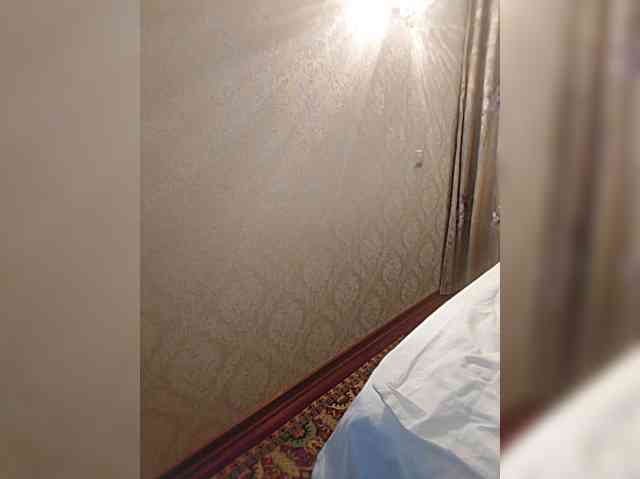 MonaMonako webcam