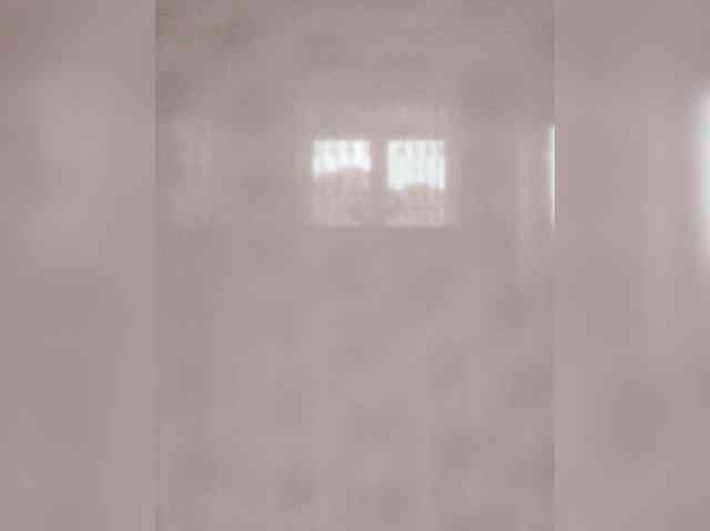 MonaMonako webcam
