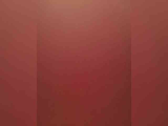 MonaMonako webcam