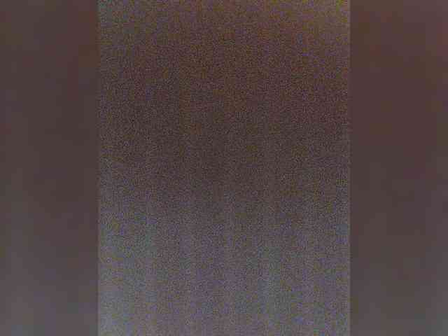 MonaMonako webcam
