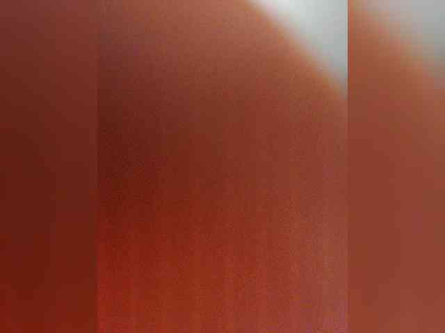 MonaMonako webcam