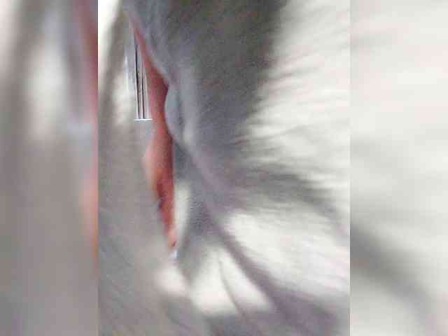 MonaMonako webcam