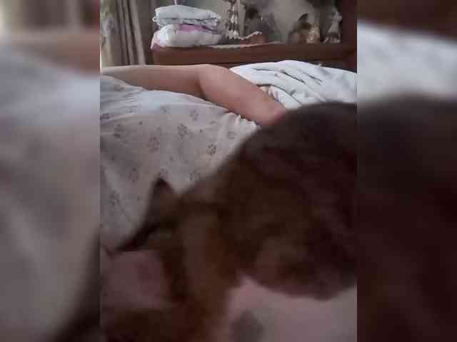 Marionaa Sex Cam Show