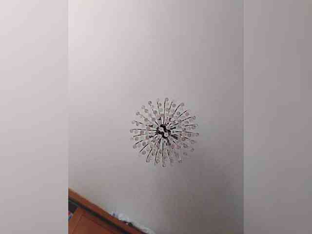 MonaMonako webcam