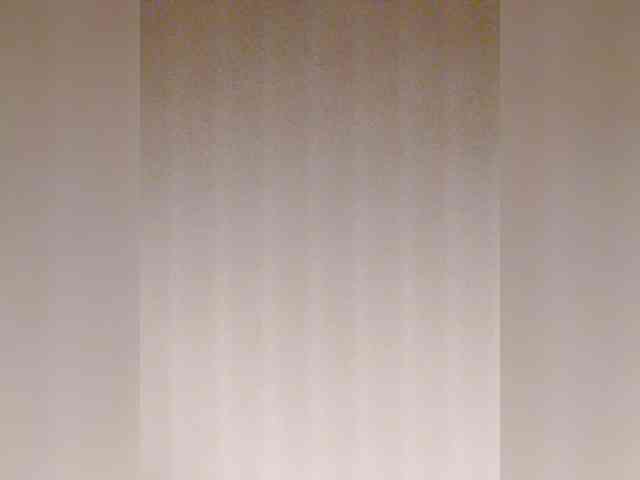 MonaMonako webcam