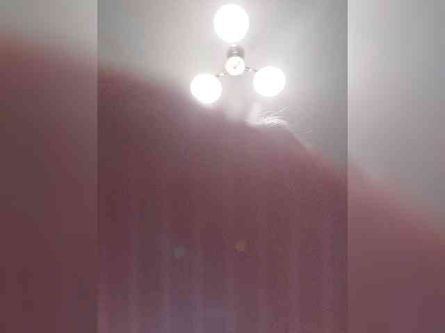 MonaMonako webcam