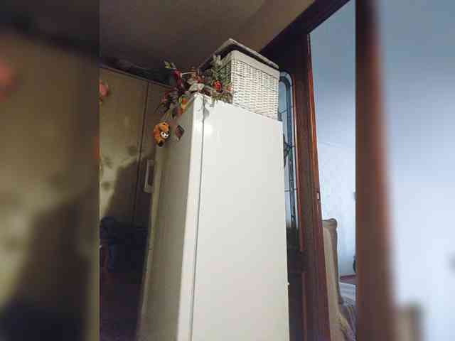 MonaMonako webcam