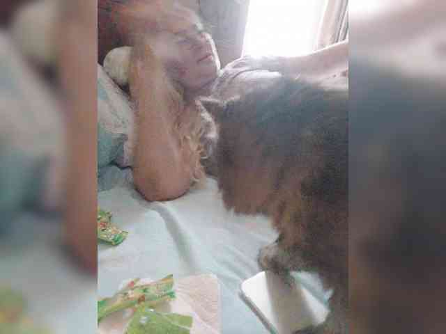 MonaMonako webcam