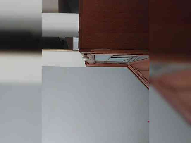 MonaMonako webcam