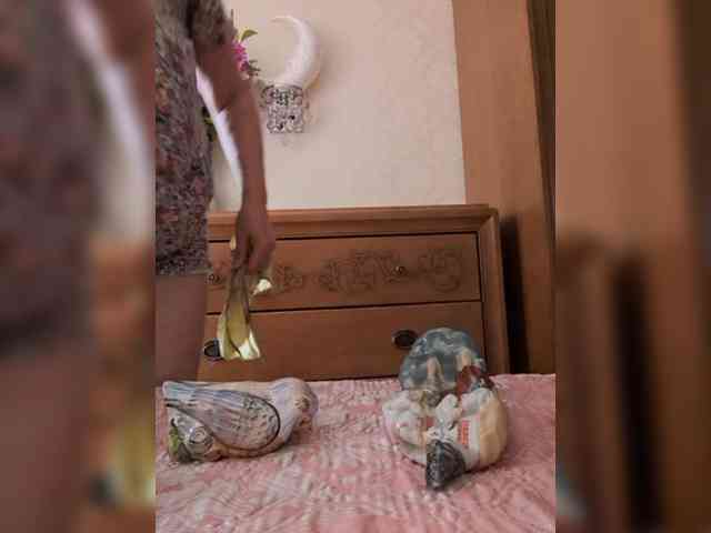 Marionaa Sex Cam Show