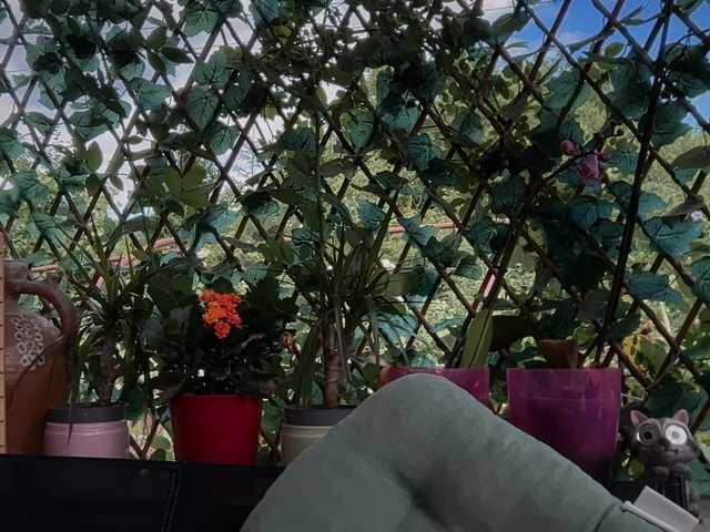 karo131324