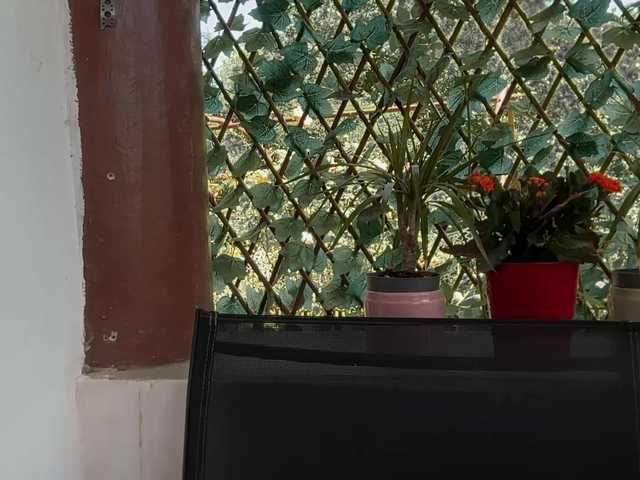 karo131324 live cam on BongaCams