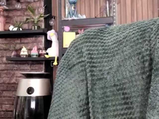 karo131324