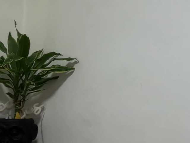 karo131324's BongaCams show and profile