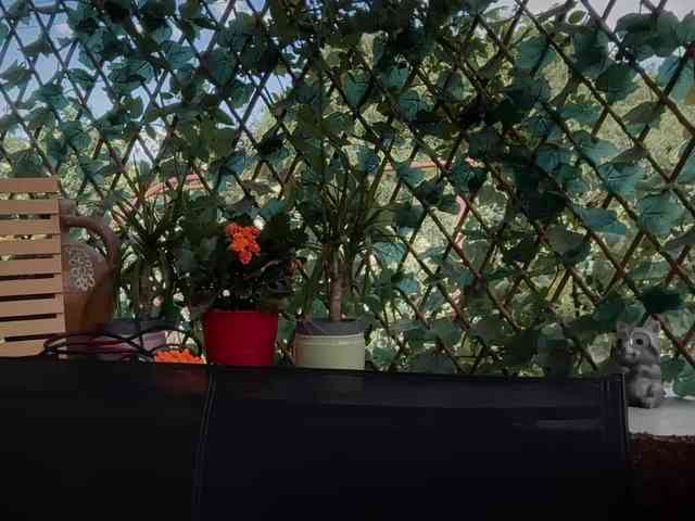 karo131324 webcam