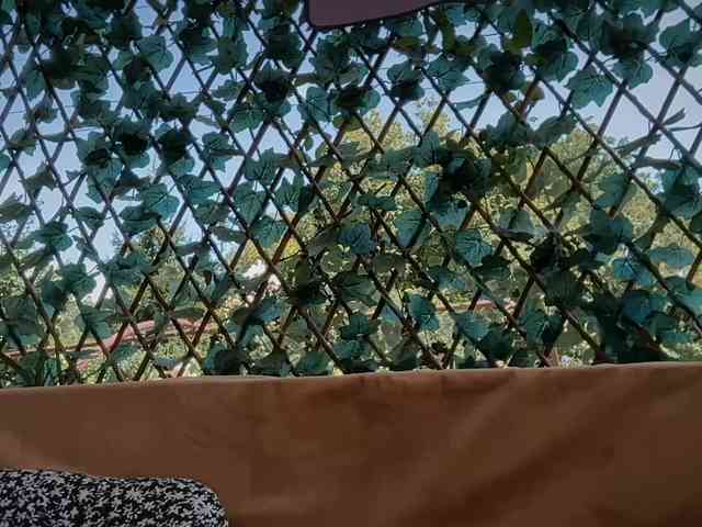 karo131324 webcam