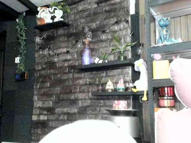karo131324 webcam