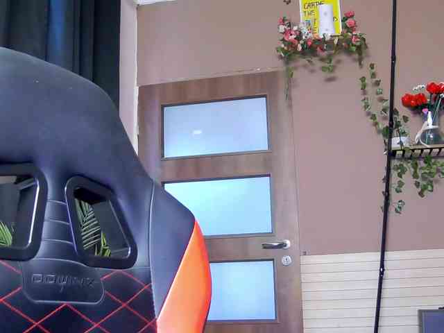 karo131324 webcam
