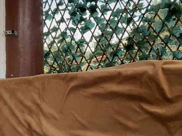 karo131324 webcam