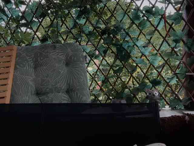 karo131324 webcam