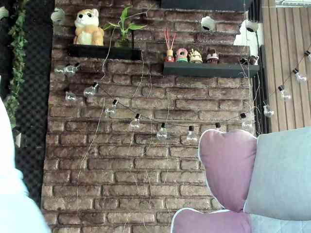 karo131324 webcam