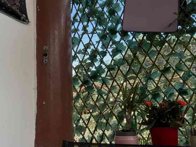karo131324 webcam