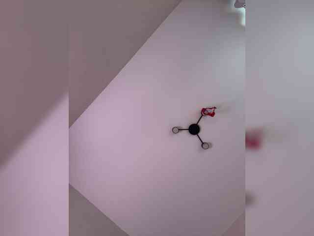 -Kami- webcam