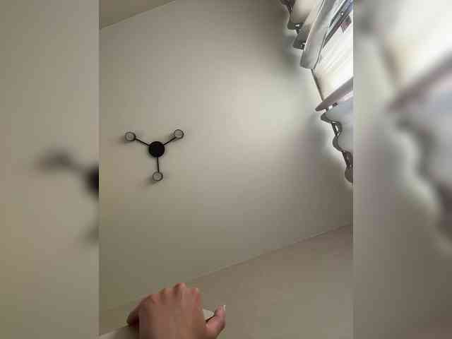 -Kami- webcam