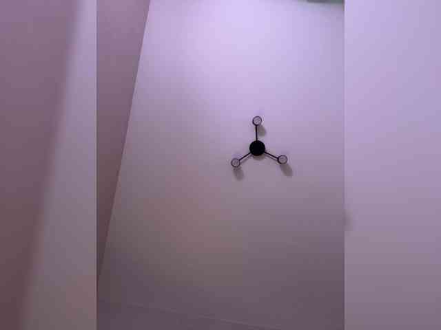 -Kami- webcam