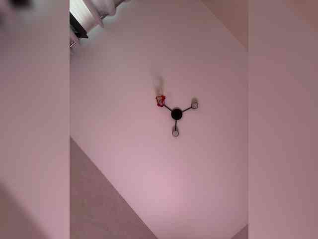 -Kami- webcam