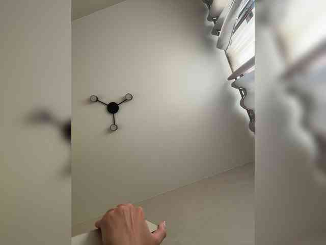 -Kami- webcam