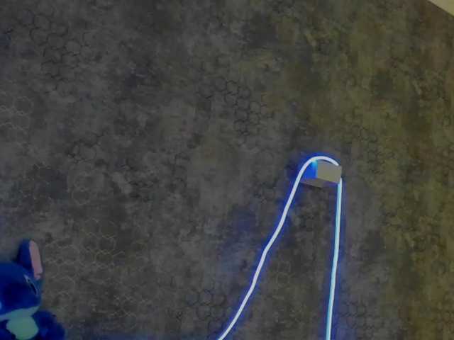 SallyNex4u