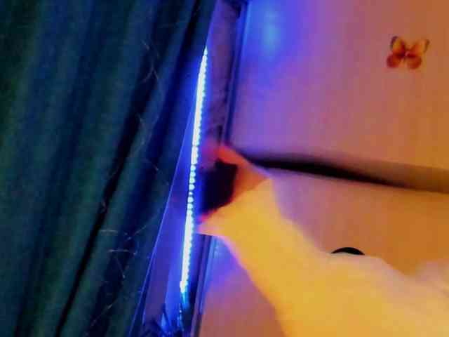 SallyNex4u webcam