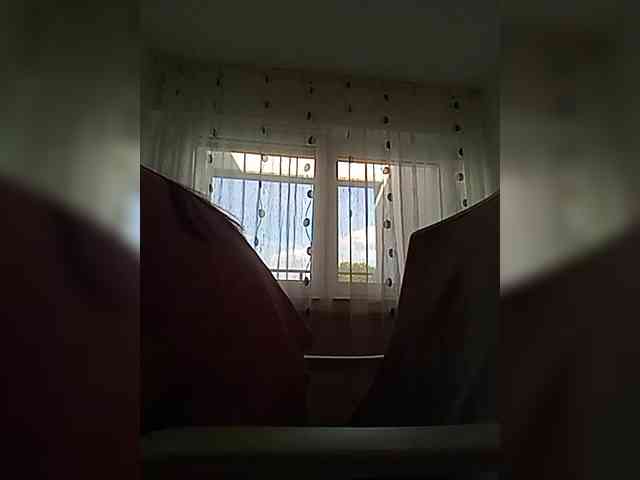 __COVID-19__ webcam