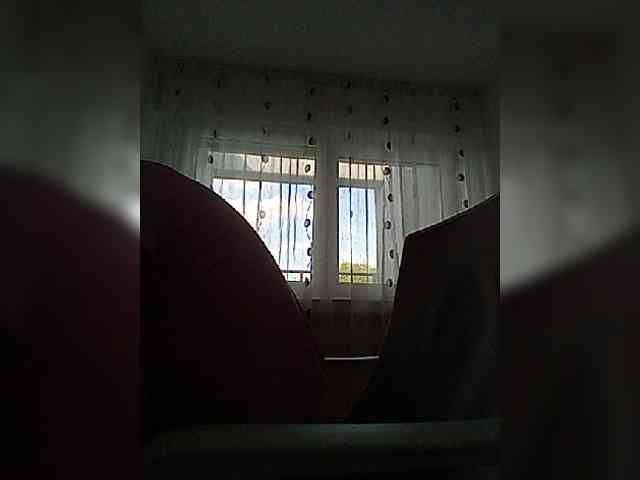 __COVID-19__ webcam