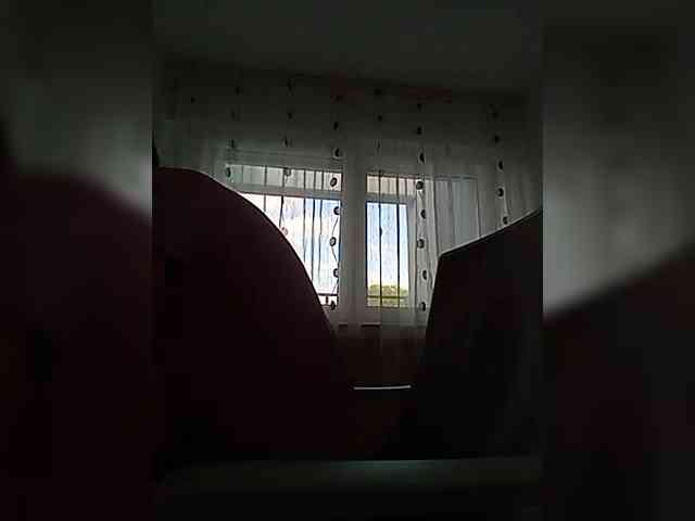 __COVID-19__ webcam