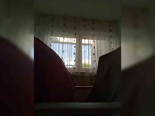 __COVID-19__ webcam