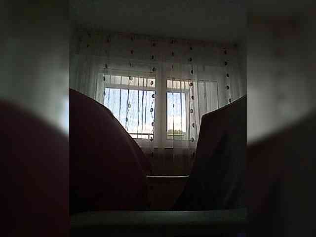 __COVID-19__ webcam