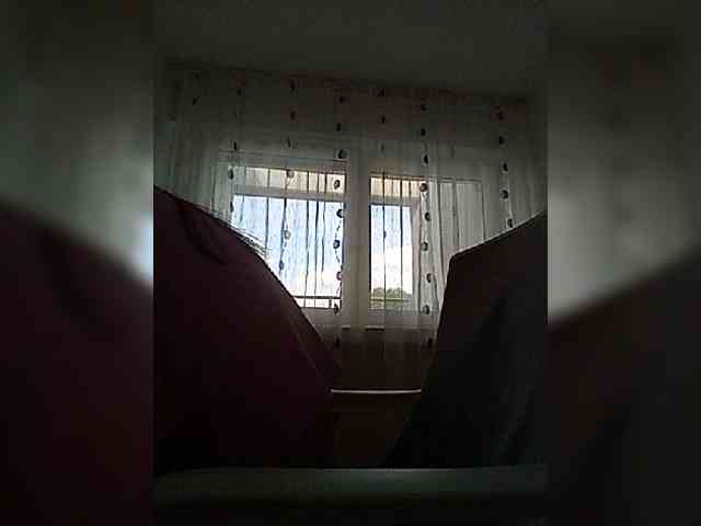 __COVID-19__ webcam