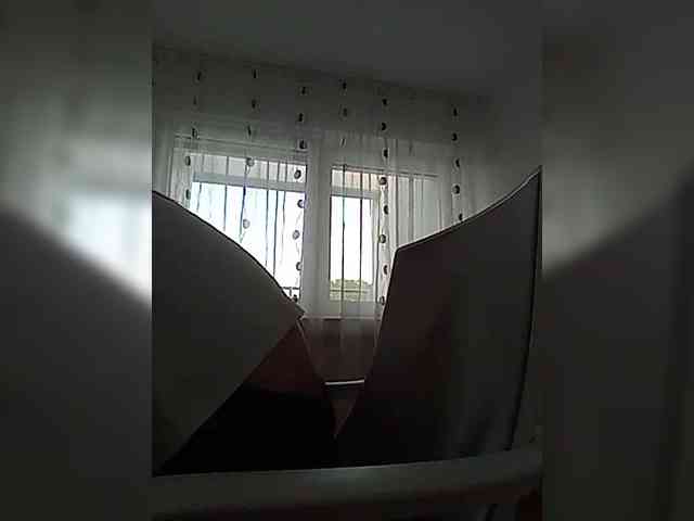 __COVID-19__ webcam