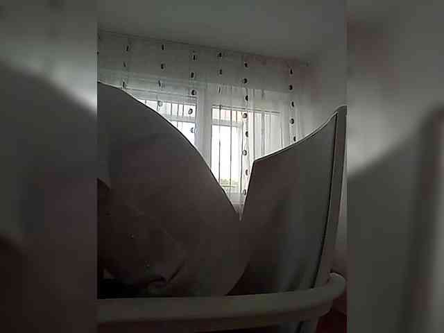 __COVID-19__ webcam