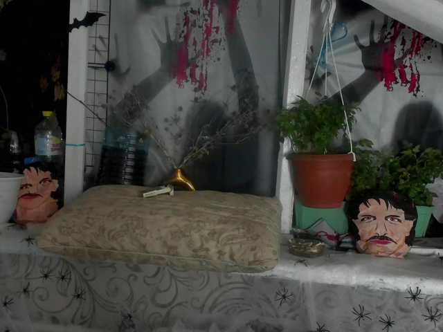 daddySgirl9 live cam on BongaCams