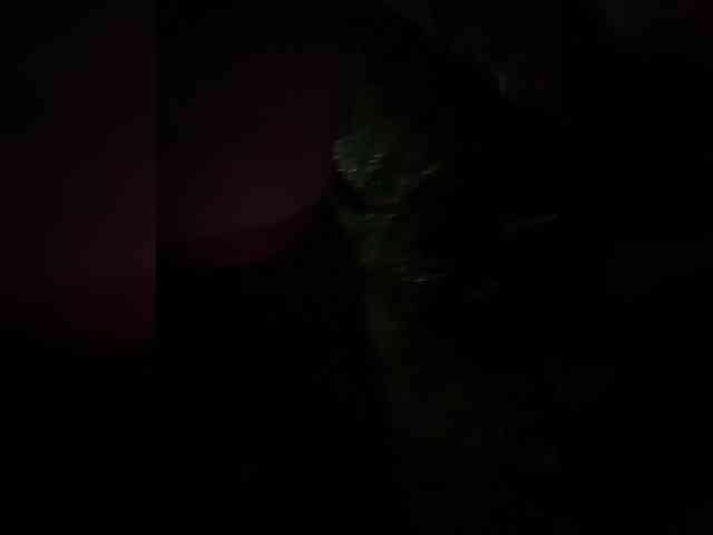 daddySgirl9 Sex Cam Show
