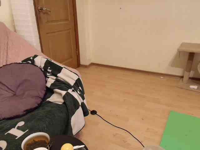 Apocalyptica webcam