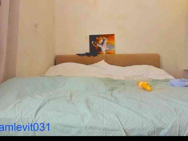 office_online_ webcam