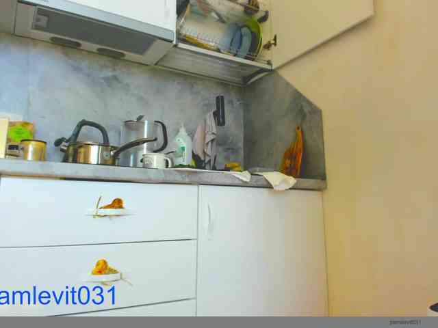 office_online_ webcam