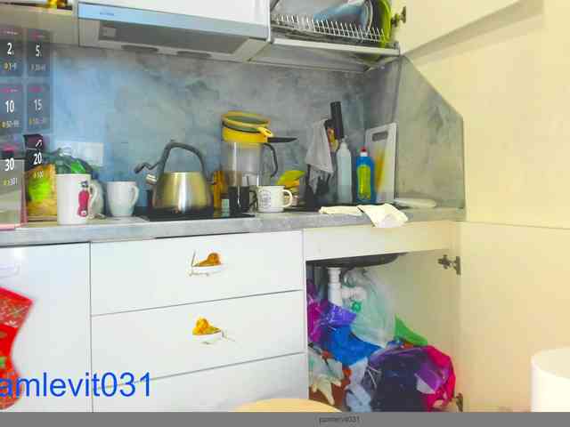 office_online_ webcam