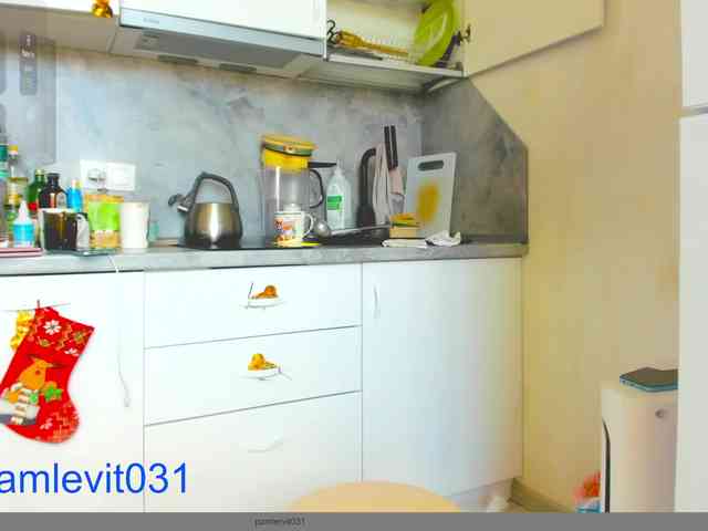 office_online_ webcam