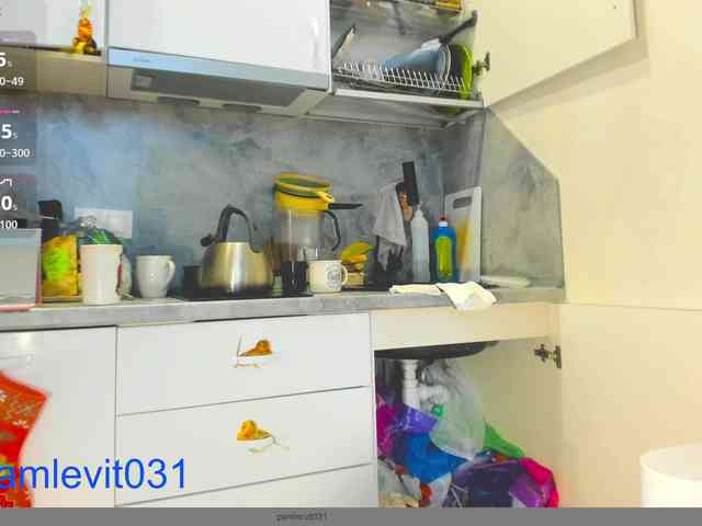 office_online_ webcam